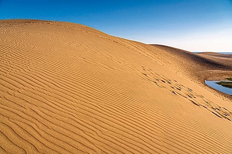 *(西宮北口)本ズワイガニ1杯を含むズワイガニ2.3杯分10品フルコースと日本最大級の鳥取砂丘と湯村温泉街日帰り カニ好きのお客様必見!本ズワイガニを召し上がってこの価格!!2